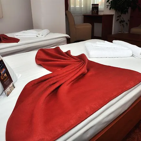 Hotel Alexis Cluj-Napoca
