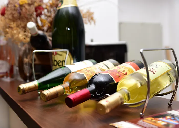 Ξενοδοχείο Alexis Κλουζ-Ναπόκα