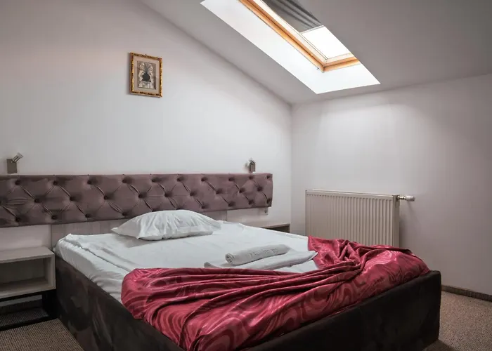 Hotel Alexis Cluj-Napoca